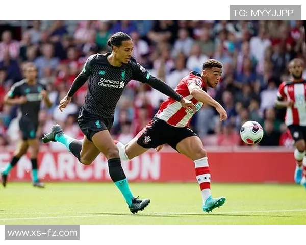 五年对比：范戴克数据全面进化！