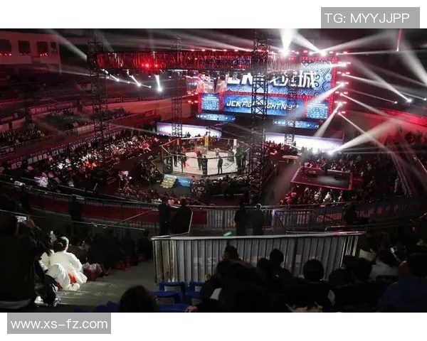 MMA格斗之夜:KO瞬间集锦 MMA格斗之夜:KO瞬间集锦